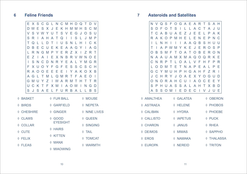 Aper&ccedil;u du contenu 3_WORDSEARCH