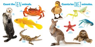 Sample content_National Geographic Photo Ark Numbers / Números