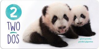 Sample content 2_National Geographic Photo Ark Numbers / Números