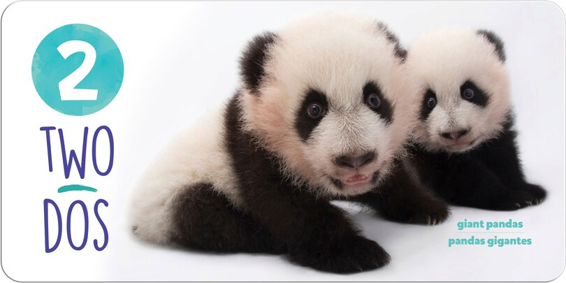 Sample content 2_National Geographic Photo Ark Numbers / Números