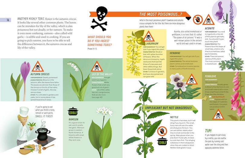 Sample content 2_Poisonous and Dangerous