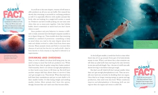 Sample content_Krill