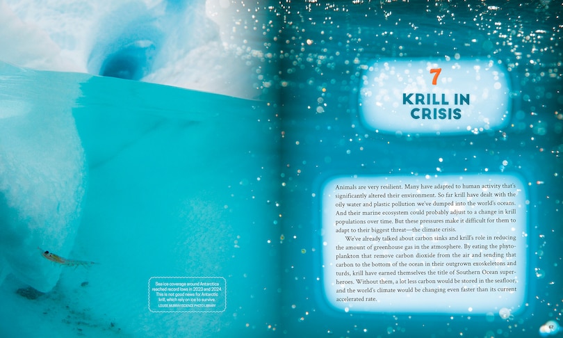 Sample content 2_Krill