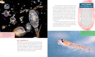 Sample content 3_Krill