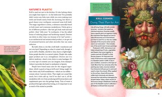 Sample content 5_Krill