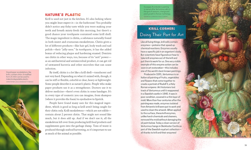 Sample content 5_Krill