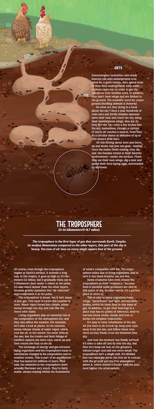 Aperçu du contenu_Up in the Blue Sky