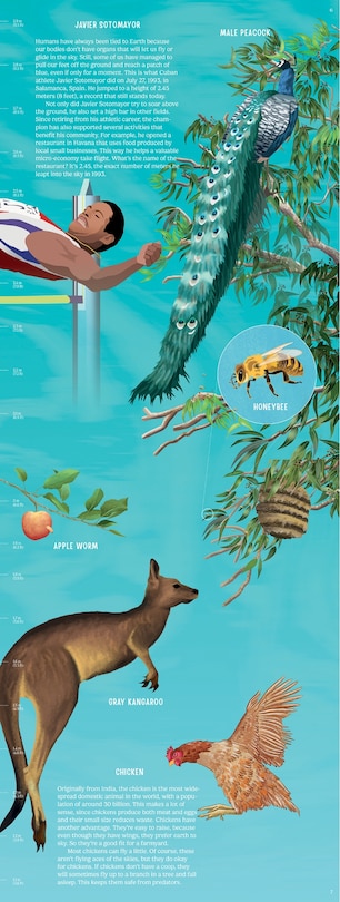 Aperçu du contenu 2_Up in the Blue Sky