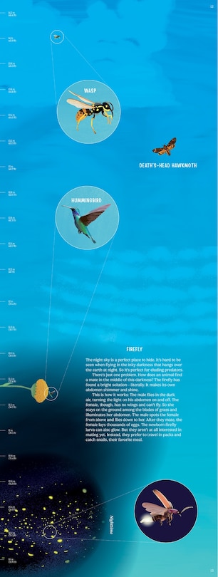 Aperçu du contenu 3_Up in the Blue Sky