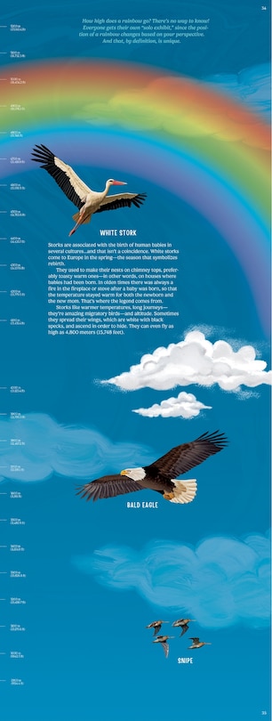 Aperçu du contenu 4_Up in the Blue Sky