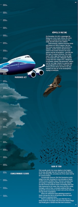 Aperçu du contenu 5_Up in the Blue Sky