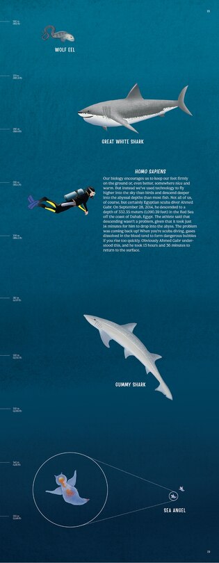 Sample content 3_Down in the Blue Ocean