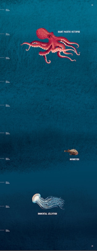 Sample content 4_Down in the Blue Ocean