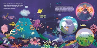 Aper&ccedil;u du contenu 5_Little Volcano