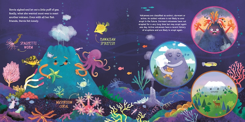 Aper&ccedil;u du contenu 5_Little Volcano