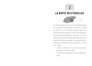 Aperçu du contenu_Fémi et Lou et le trésor perdu