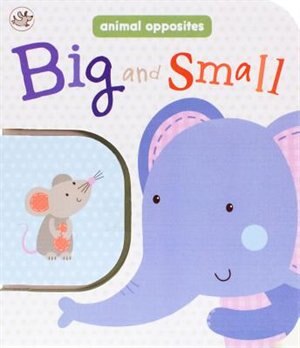 LITTLE LEARNERS BK IN A BK BIG & S