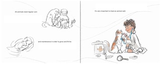 Sample content 2_Hello, Beautiful Animal