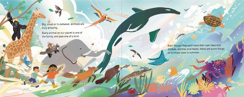 Sample content 3_Hello, Beautiful Animal