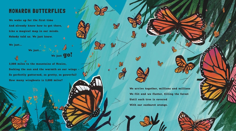 Sample content_Wriggle and Buzz: My First Book of Bugs