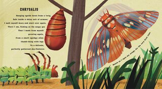 Sample content 3_Wriggle and Buzz: My First Book of Bugs