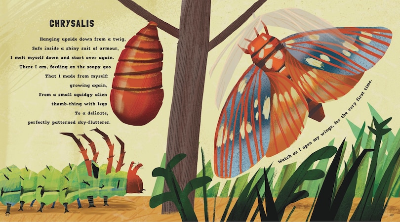 Sample content 3_Wriggle and Buzz: My First Book of Bugs