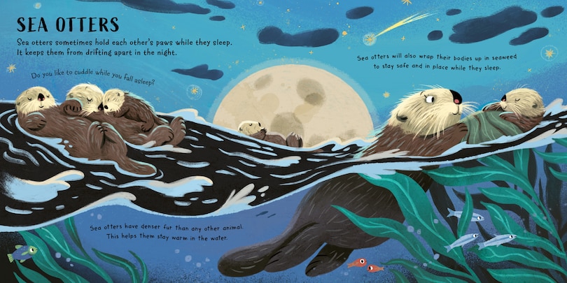 Sample content 2_Time for Bed, Animals