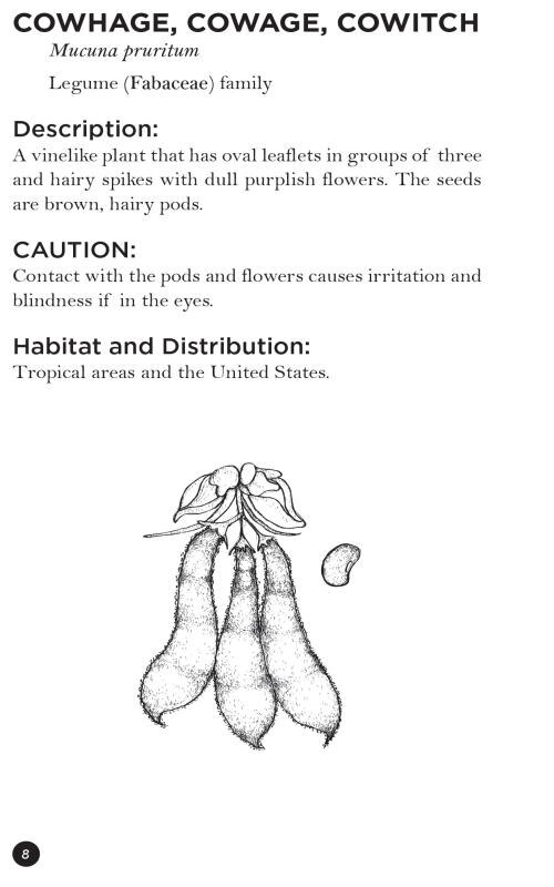 Aper&ccedil;u du contenu 3_Poisonous Plants & How to Spot Them