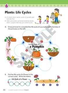 Sample content_Complete Canadian Curriculum: Grade 3 (Enriched Edition)