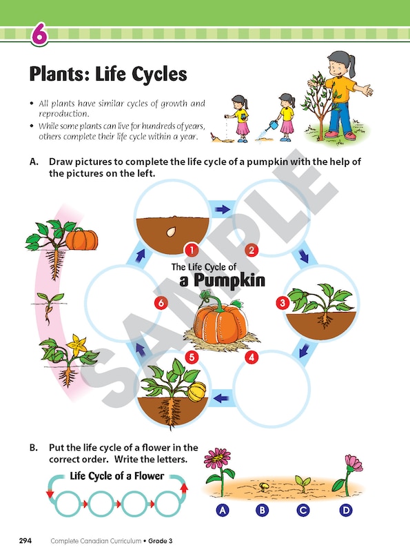 Sample content_Complete Canadian Curriculum: Grade 3 (Enriched Edition)