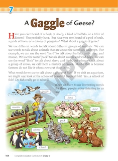 Sample content 3_Complete Canadian Curriculum: Grade 3 (Enriched Edition)