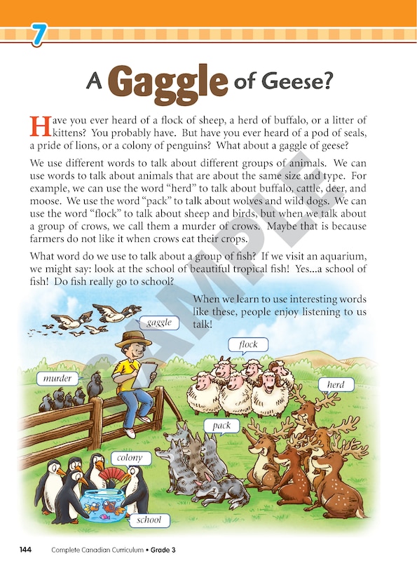 Sample content 3_Complete Canadian Curriculum: Grade 3 (Enriched Edition)