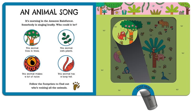 Sample content_Wild Animals