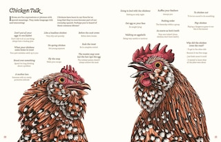 Aper&ccedil;u du contenu_Cluck!