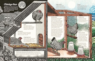 Aper&ccedil;u du contenu 2_Cluck!