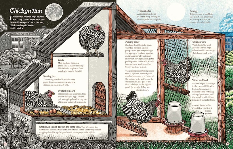 Aper&ccedil;u du contenu 2_Cluck!