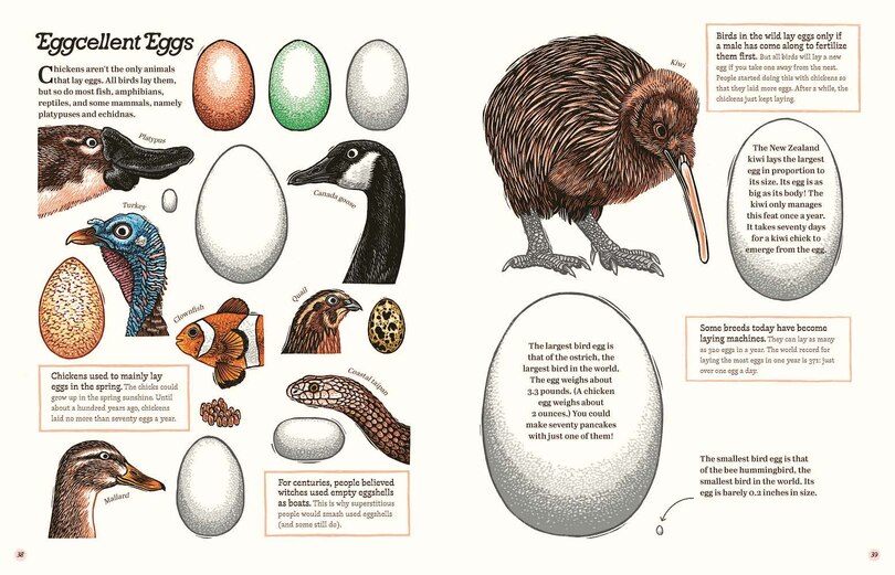 Aper&ccedil;u du contenu 3_Cluck!