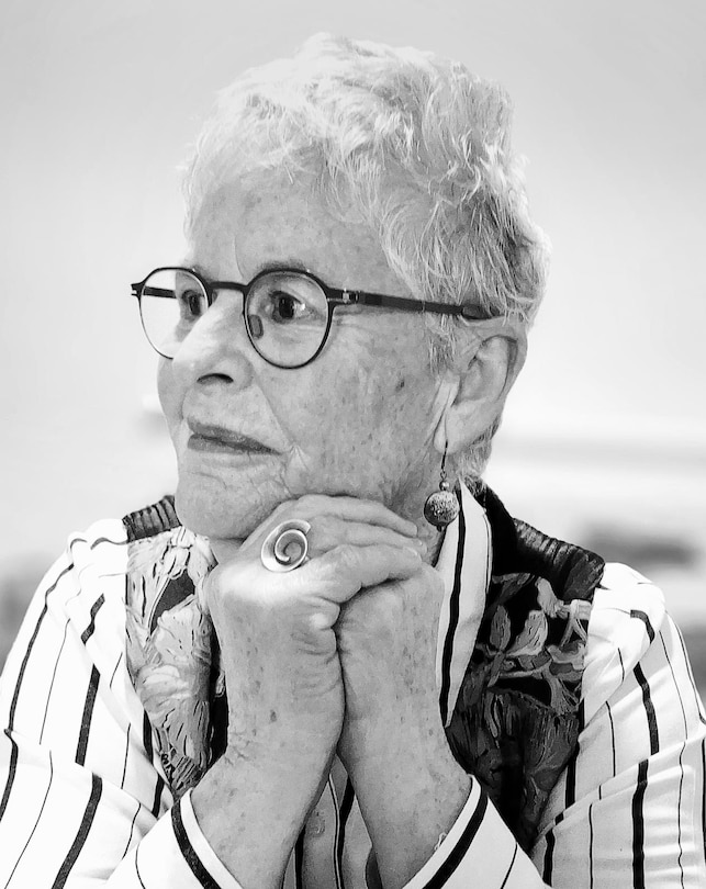 Aper&ccedil;u du contenu_Laila's Story