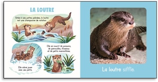 Sample content_My Animals of Canada Boxed Set
