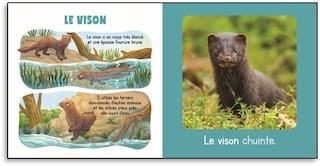Sample content 2_My Animals of Canada Boxed Set
