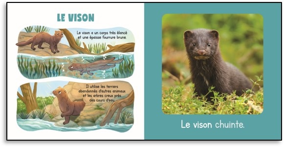 Sample content 2_My Animals of Canada Boxed Set