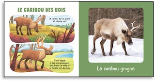 Sample content 3_My Animals of Canada Boxed Set