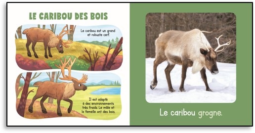 Sample content 3_My Animals of Canada Boxed Set