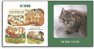 Sample content 4_My Animals of Canada Boxed Set