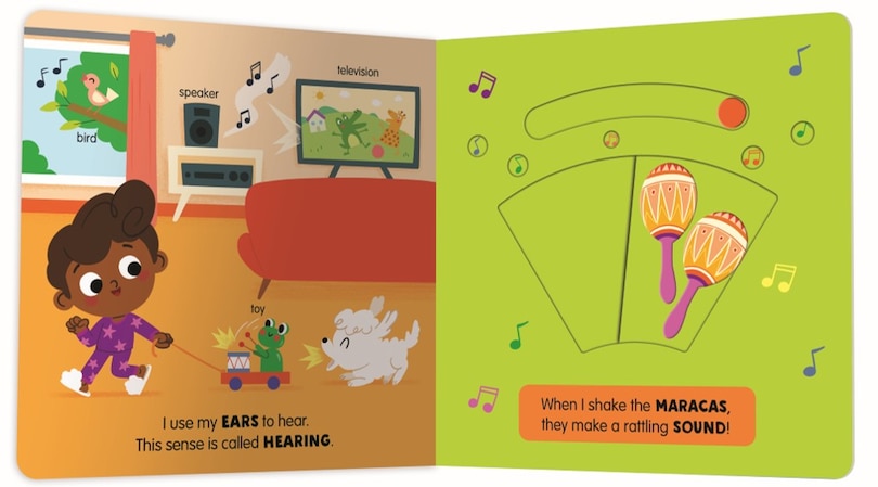 Sample content 2_The 5 Senses