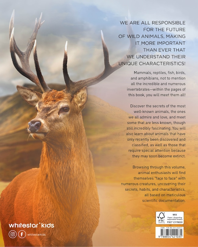 Couverture arri&egrave;re_ULTIMATE BK OF ANIMALS