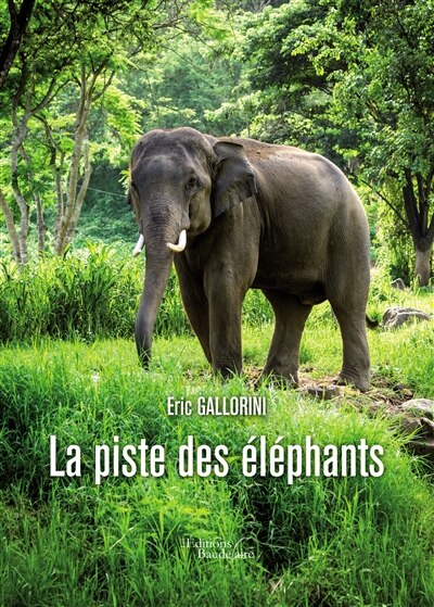 Couverture_La piste des &eacute;l&eacute;phants