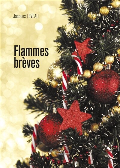 Front cover_Flammes brèves
