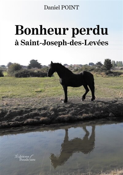 Couverture_Bonheur perdu à Saint-Joseph-des-Levées