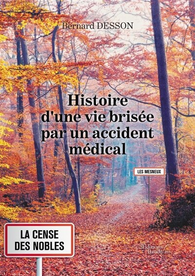 Front cover_Histoire d'une vie brisée par un accident médical